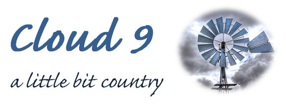 Cloud 9 - A Little Bit Country